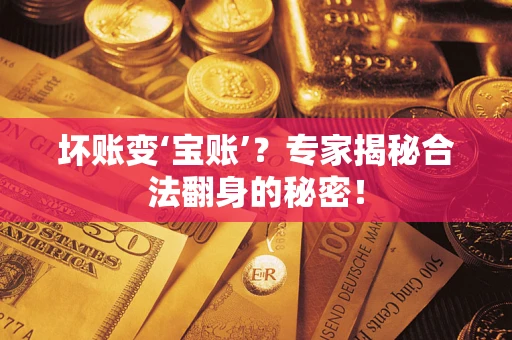 北京坏账变‘宝账’？专家揭秘合法翻身的秘密！